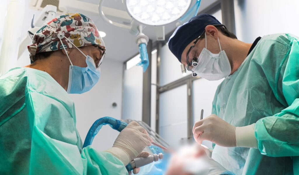 Cirugía dental en Albacete